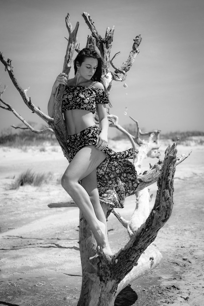 Collection 21 photo by James Akins