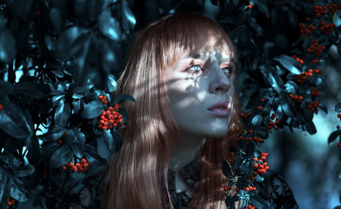 Collection 1 photo by Oliver Ojeil