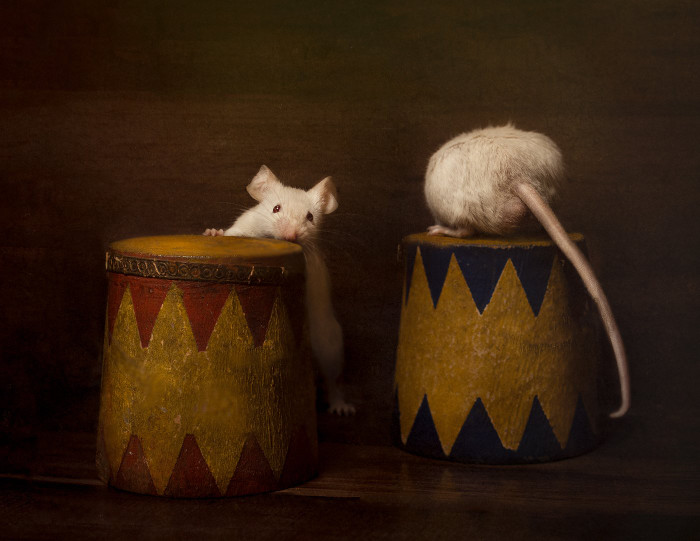 Collection 73 photo by Shelley Franklin