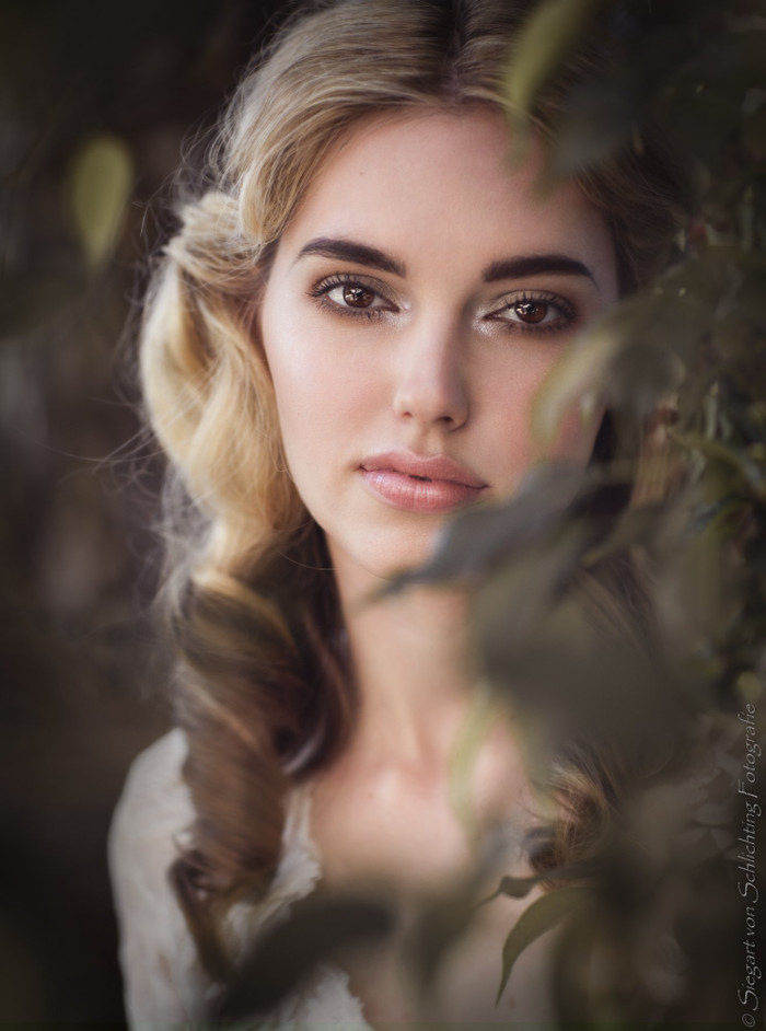 Collection 19 photo by Siegart Von Schlichting