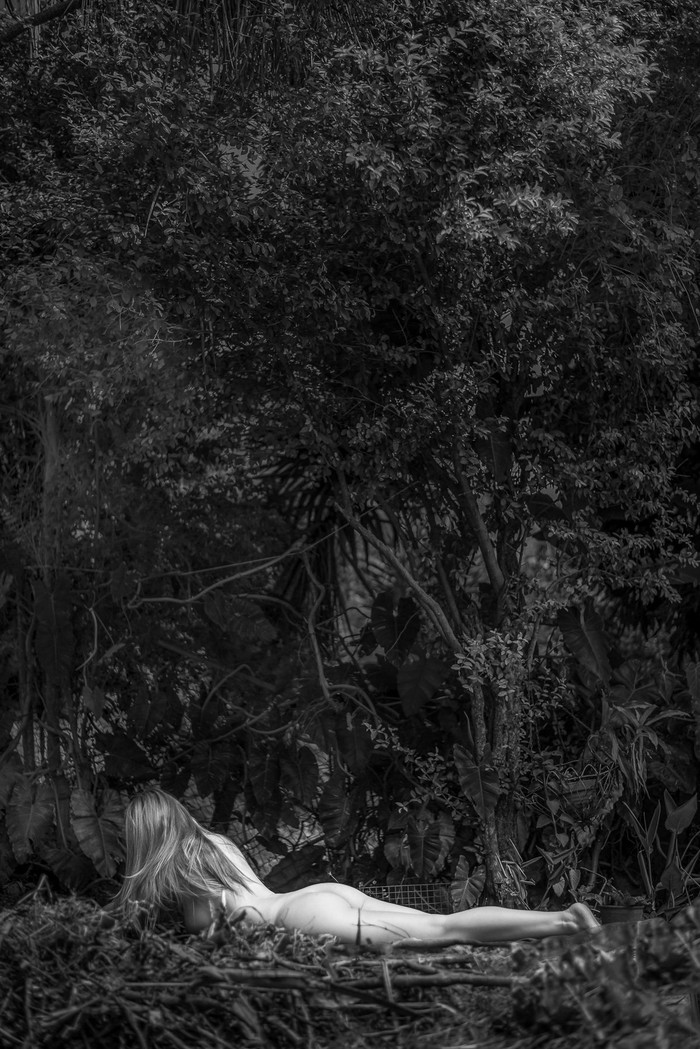 Collection 54 photo by Omar Ponceleon