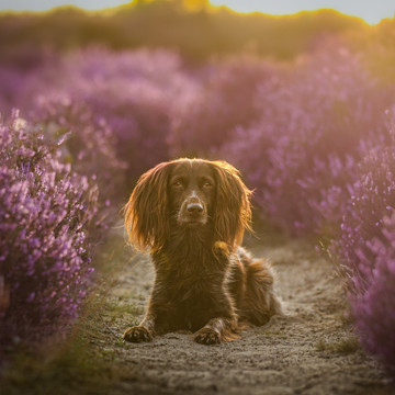 Fotografie v galerii 4