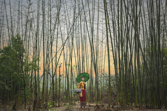 Collection 32 photo by Lin Tun