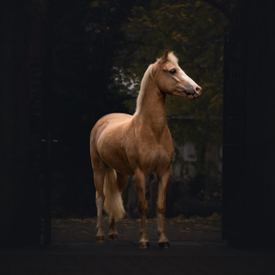 Fotografie v galerii 3