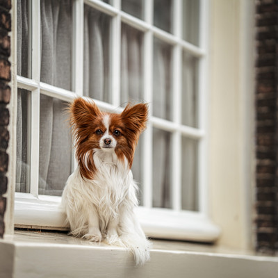 Φωτογραφία γκαλερί 2