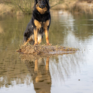 Zdjęcie w galerii 1