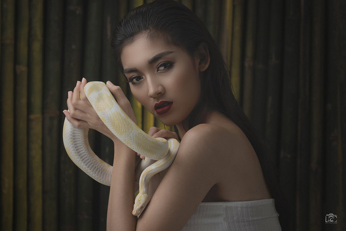 Collection 28 photo by Lin Tun