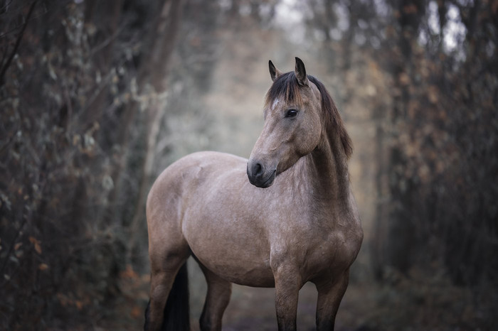 Collection 96 photo by Sanne Wammes