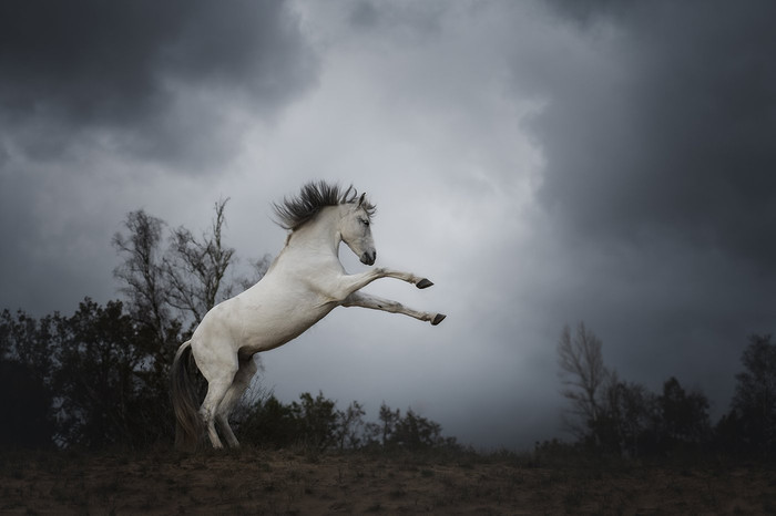 Collection 93 photo by Sanne Wammes