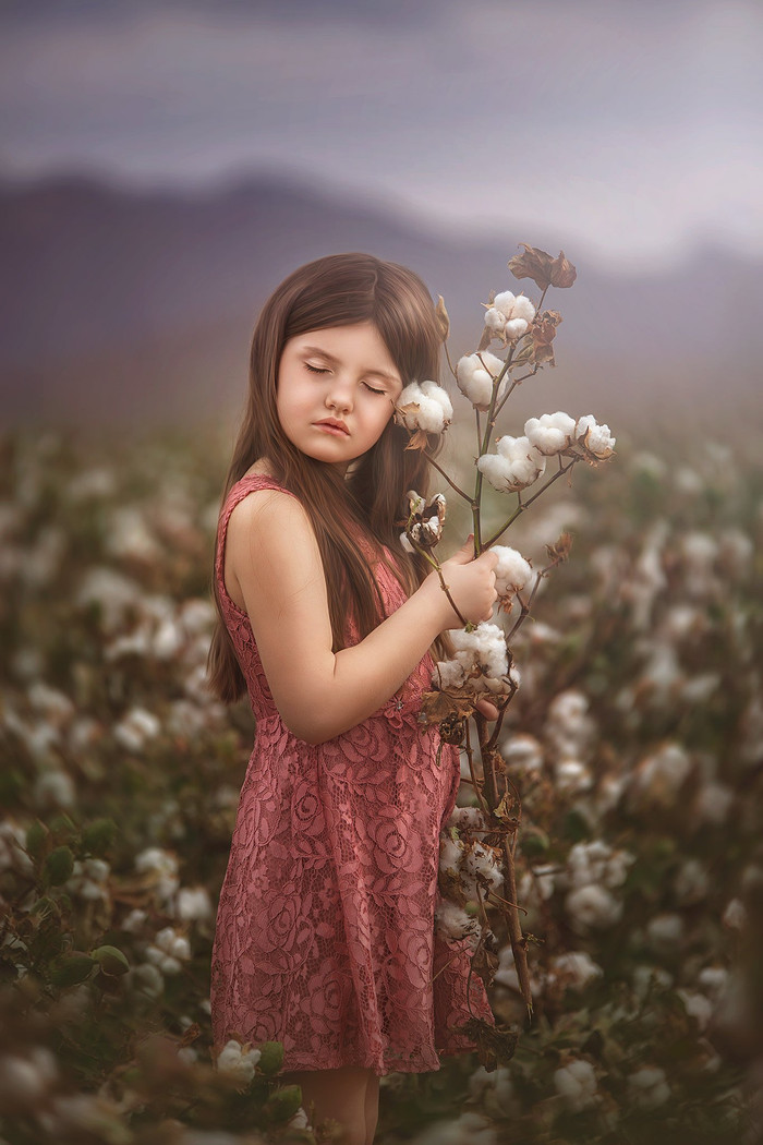 Collection 71 photo by Amanda Colgan