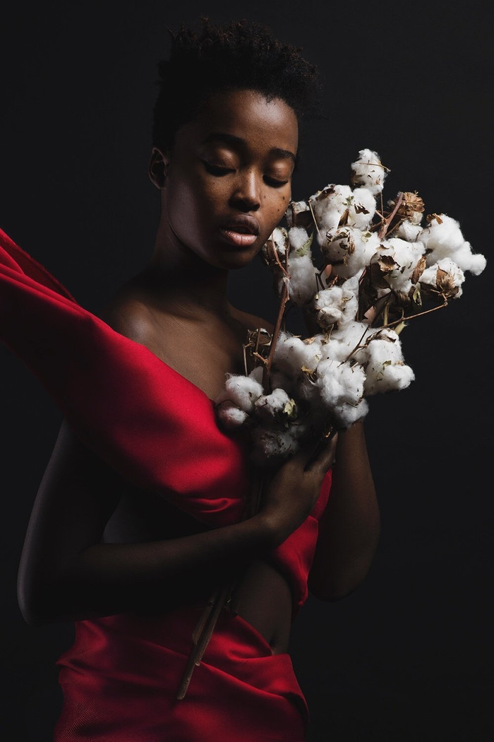 Collection 2 photo by Kristopher Dobbins