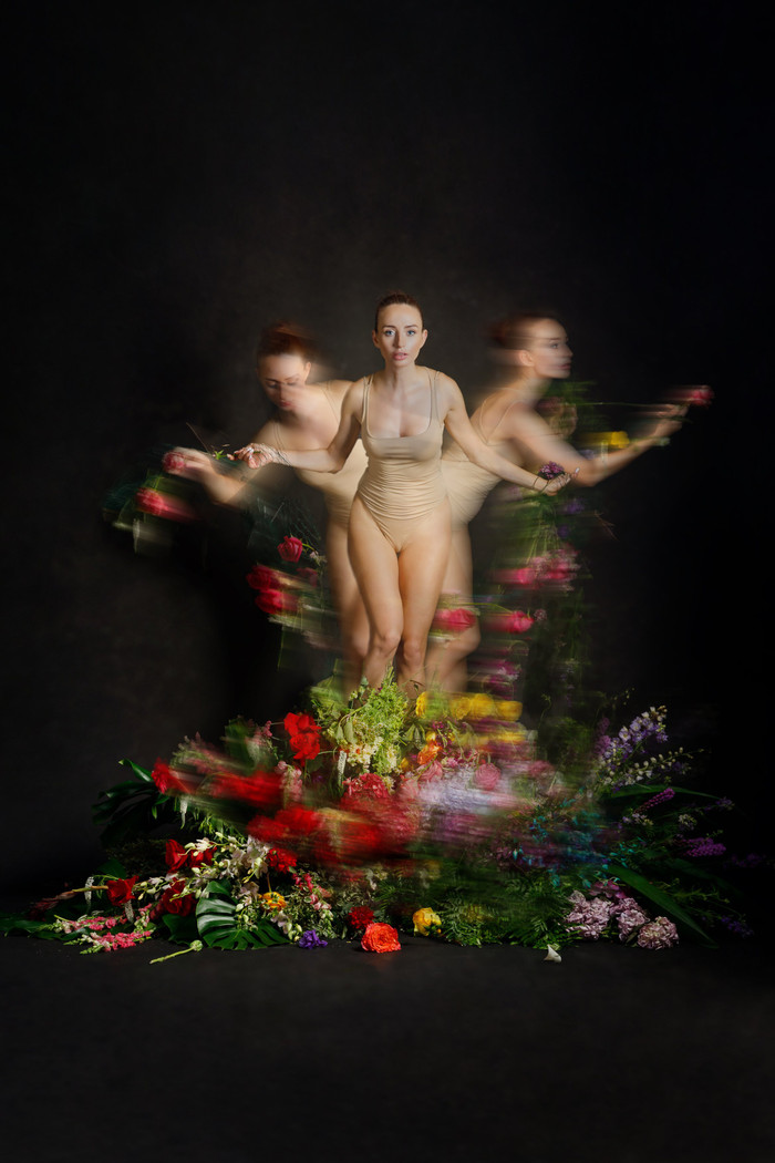 Collection 79 photo by Amalya Shandelman