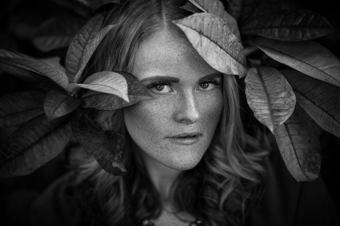 Collection 3 photo by Conny Ripperger