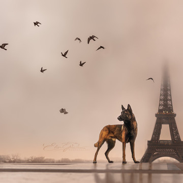 Photo de galerie 3