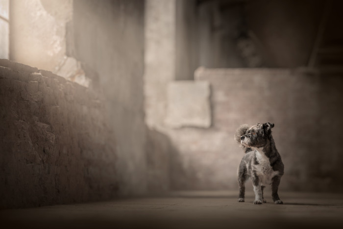 Collection 106 photo by Zuidema Renate