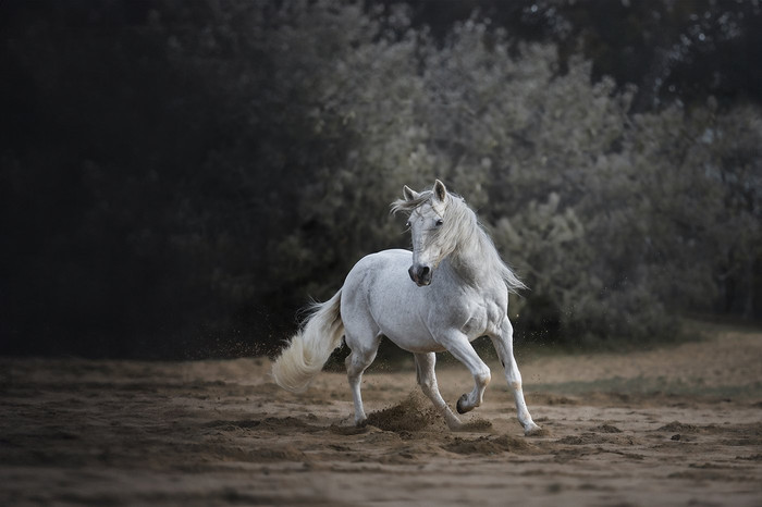 Collection 95 photo by Sanne Wammes