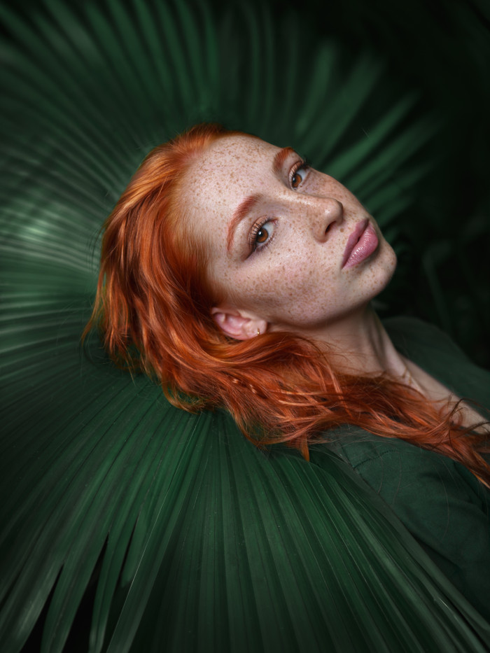 Collection 122 photo by Alexander Forst