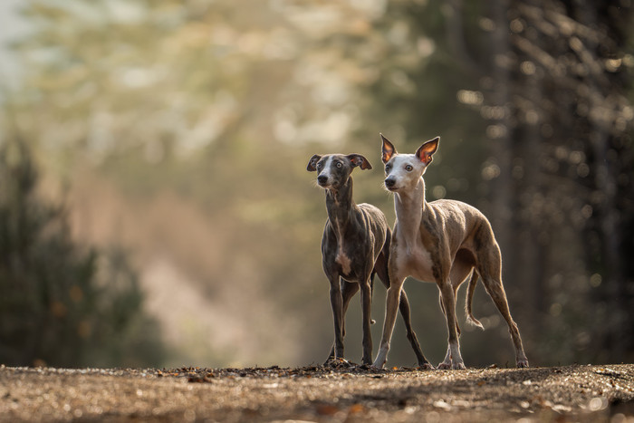 Collection 123 photo by Claudia Van Berkel