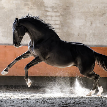 Fotografie v galerii 3
