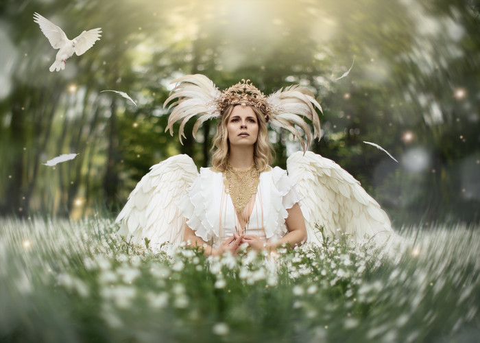 Collection 84 photo by Nicole Dopfer
