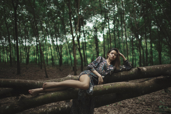 Collection 29 photo by Lin Tun