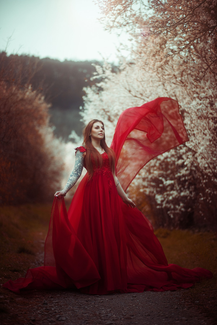 Collection 97 photo by Jessica Halt