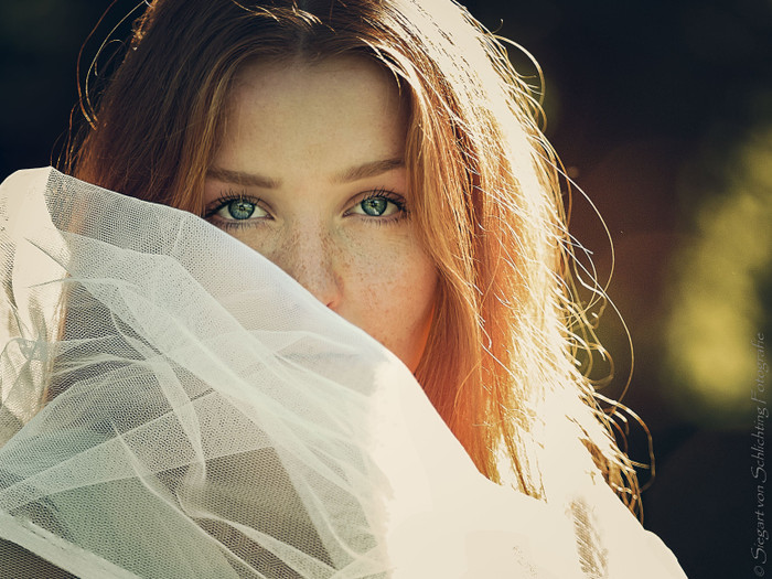 Collection 8 photo by Siegart Von Schlichting