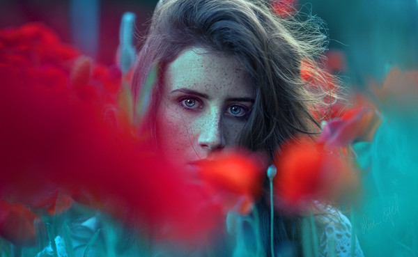 Collection 3 photo by Oliver Ojeil
