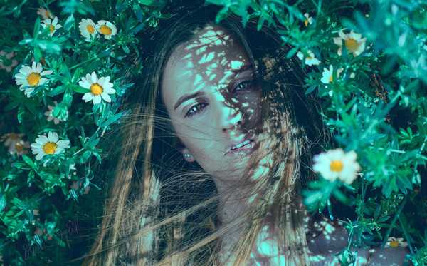Collection 3 photo by Oliver Ojeil