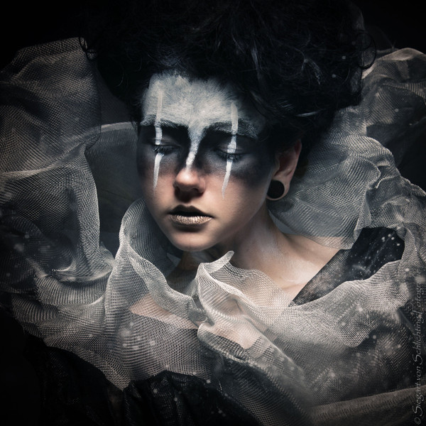 Collection 8 photo by Siegart Von Schlichting