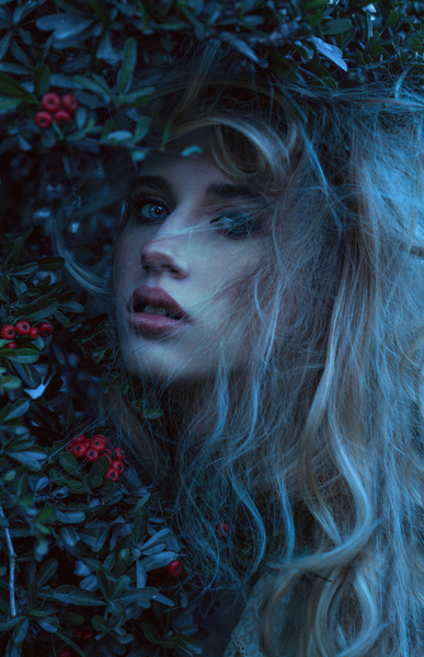 Collection 12 photo by Oliver Ojeil