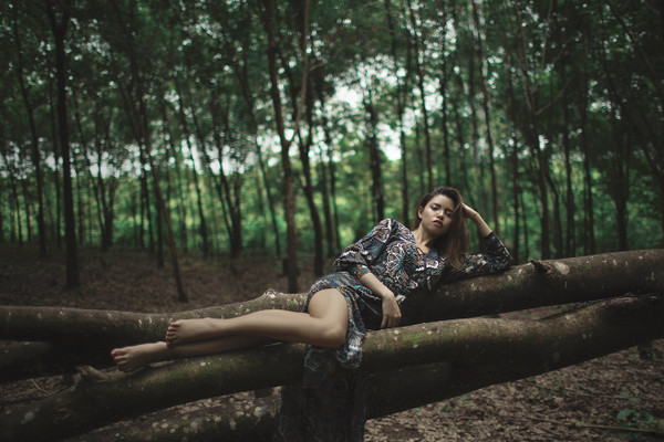 Collection 29 photo by Lin Tun