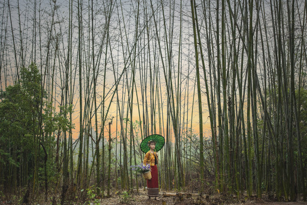 Collection 32 photo by Lin Tun