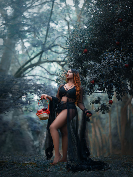 Collection 71 photo by Hubert Wells