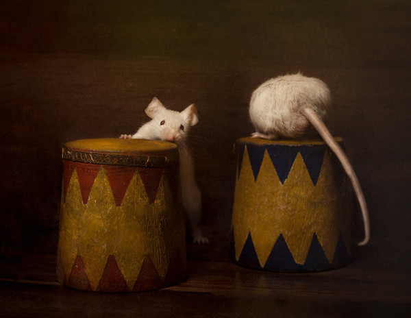Collection 73 photo by Shelley Franklin