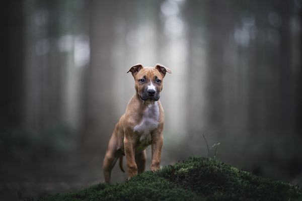 Collection 96 photo by Sanne Wammes