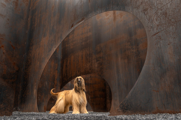 Collection 124 photo by Claudia Van Berkel