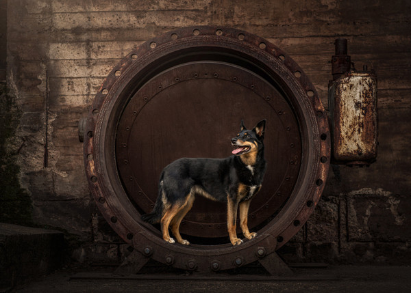 Collection 125 photo by Jessy Loos