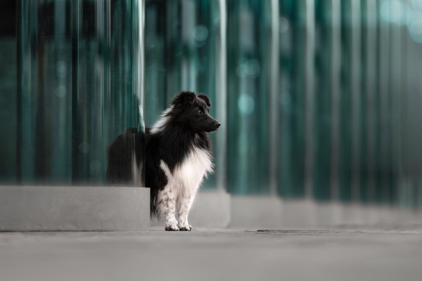 Collection 125 photo by Denise De Groen