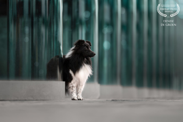 Collection 125 photo by Denise De Groen