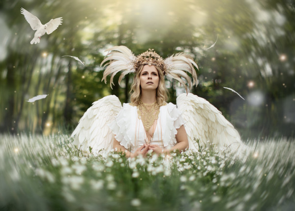 Collection 84 photo by Nicole Dopfer