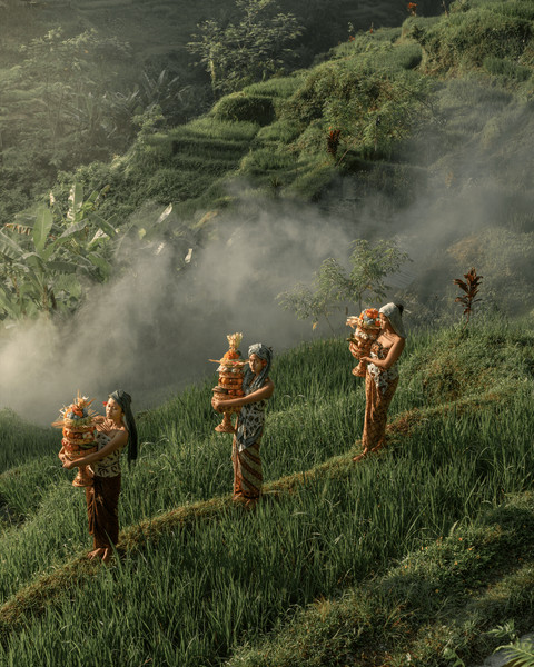Collection 61 photo by Aysia Linggarwati