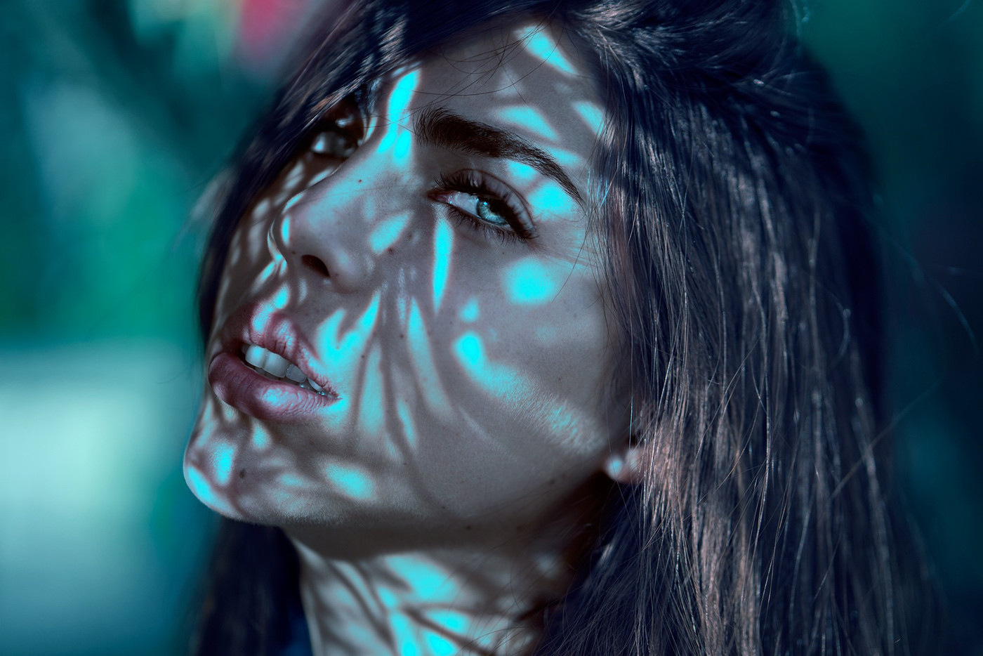 Collection 5 photo by Oliver Ojeil