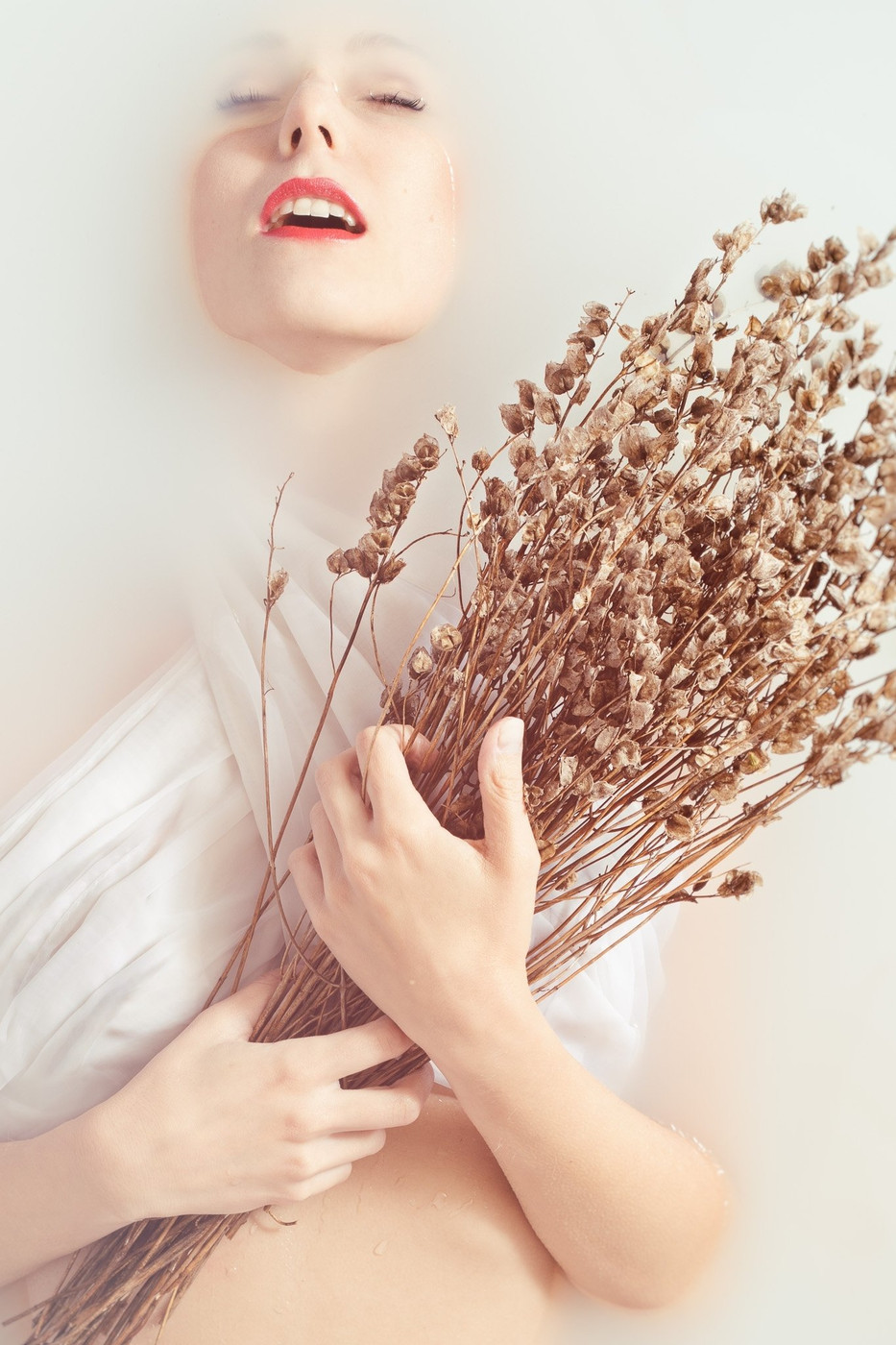 Collection 5 photo by Fritz Philipp