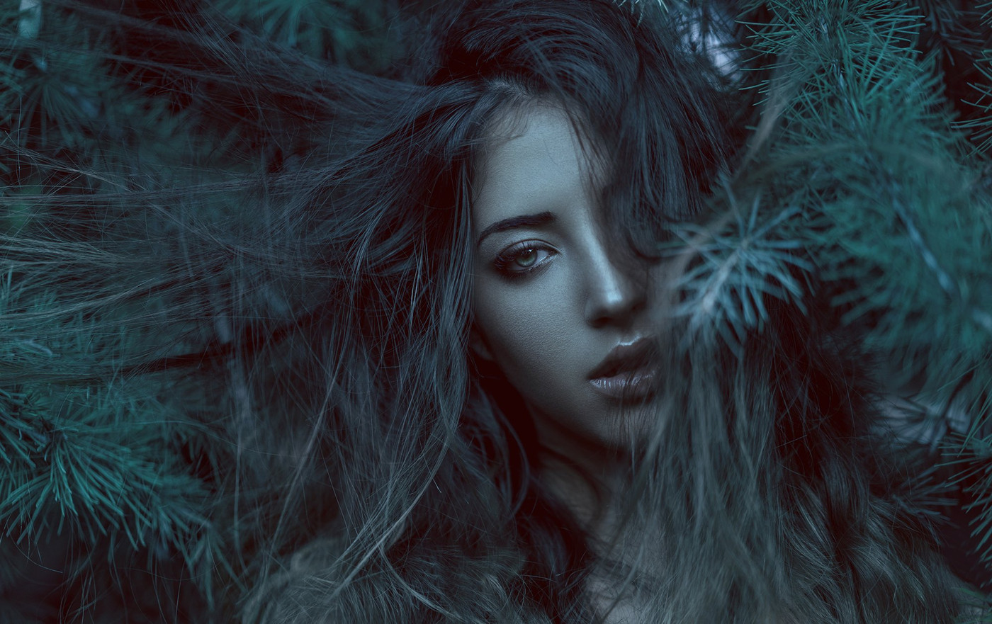 Collection 10 photo by Oliver Ojeil