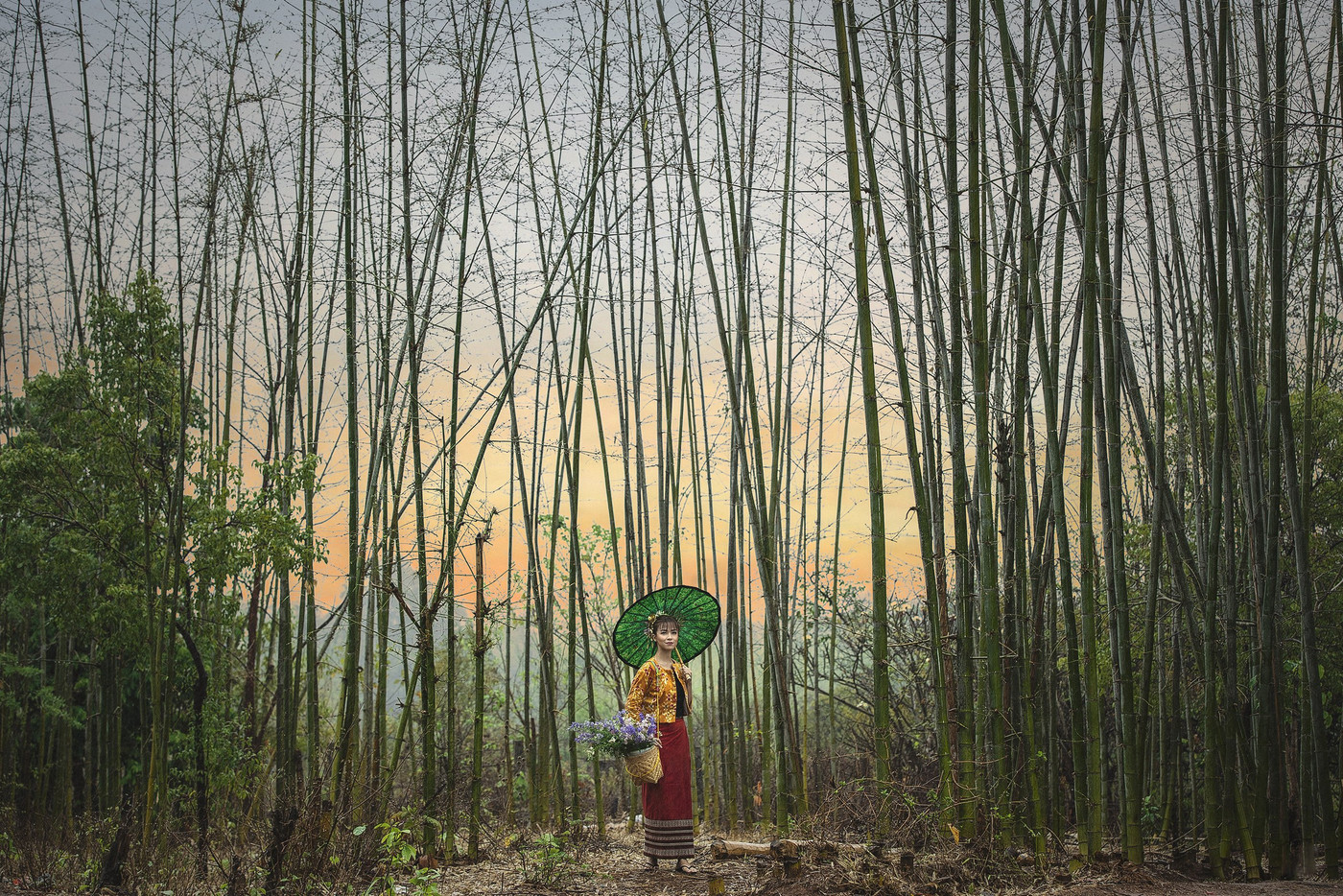 Collection 32 photo by Lin Tun