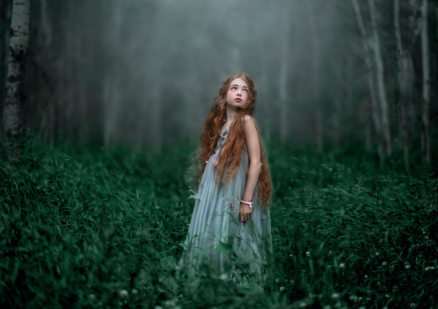 Collection 52 photo by Ammara Crittenden