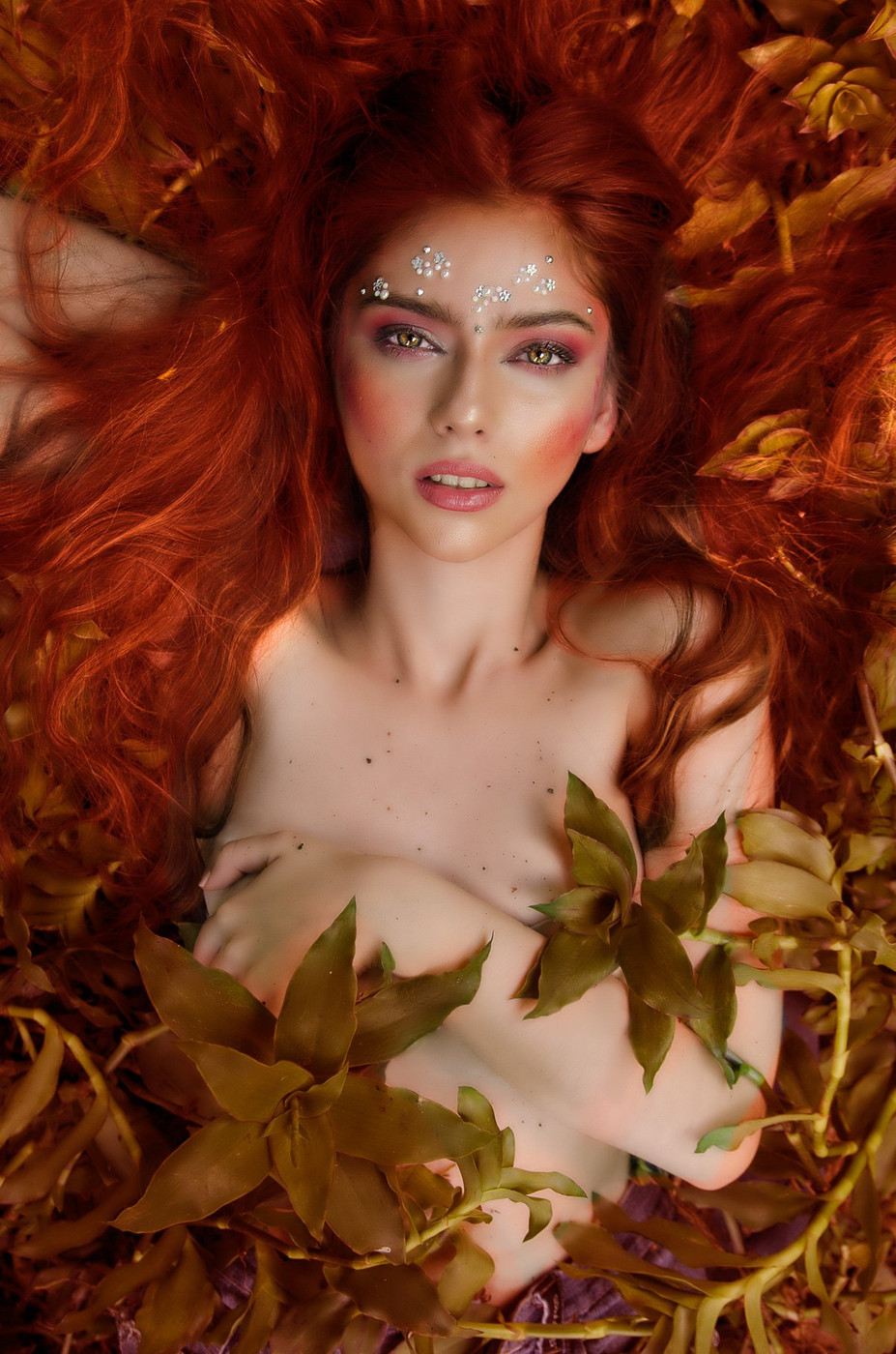Collection 56 photo by Omar Ponceleon