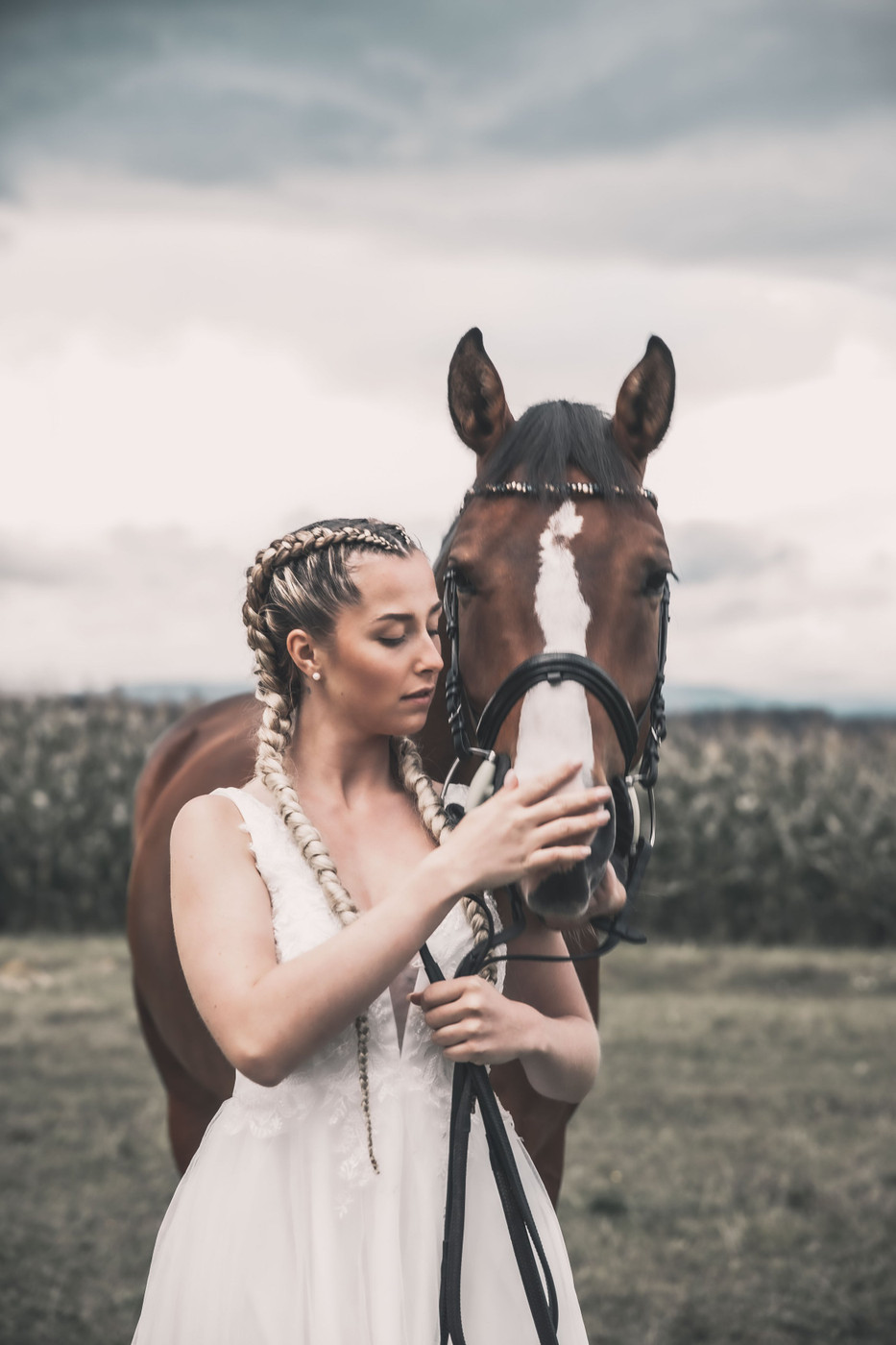 Collection 65 photo by Reto Probst