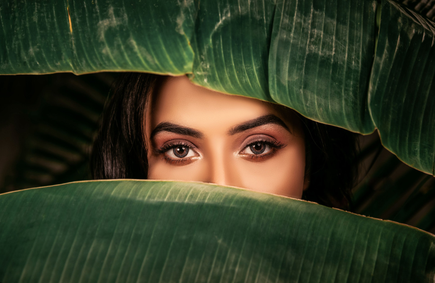 Collection 67 photo by Arvind Raj